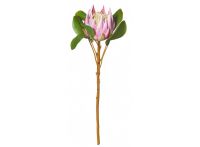 King Protea Stem Pink 54cm